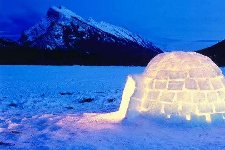EXPEDITION IGLOO