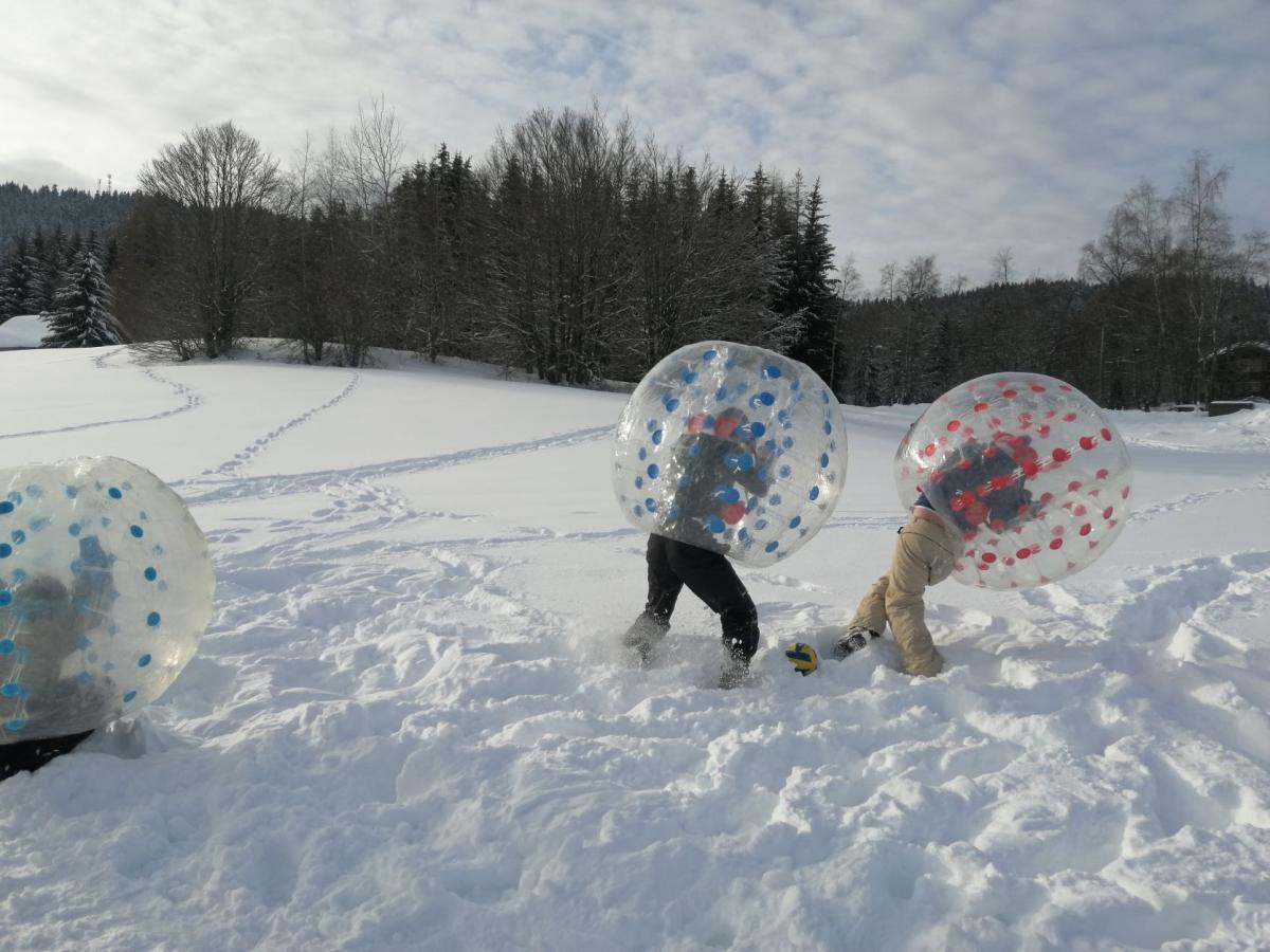 CHALLENGE DES NEIGES