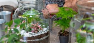 TAKA CREA TERRARIUM EVJF