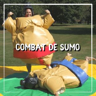 Combat de sumo